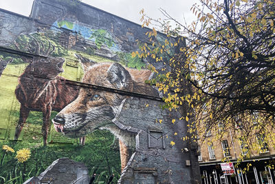 In Glasgow zijn ze niet vies van een muurschildering hier of daar. © Ajax Life